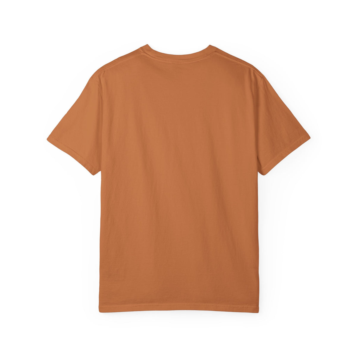 Duck stripped t-shirt