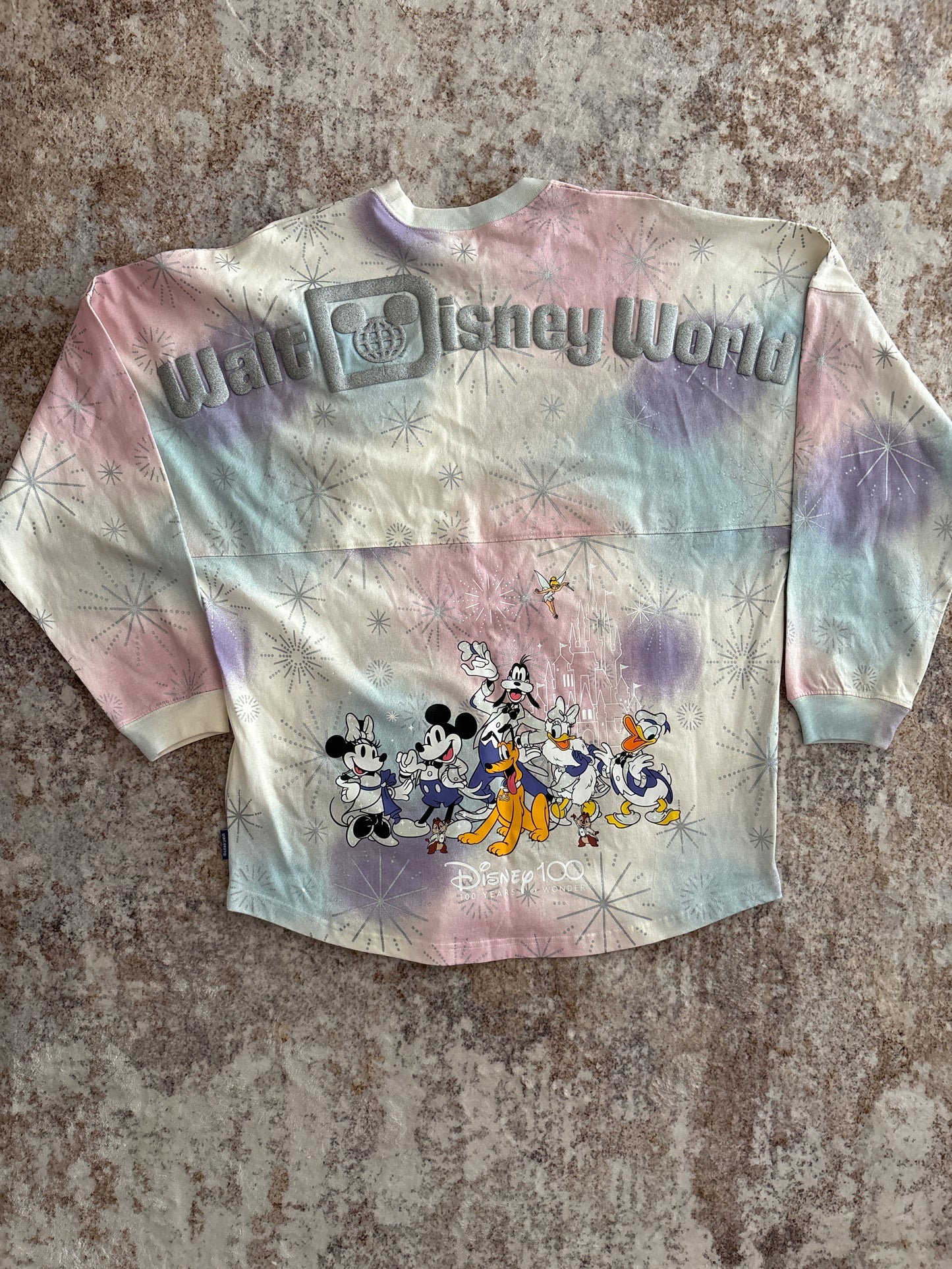 Disney100 Walt Disney World Pastel Spirit Jersey Style Pullover | Medium